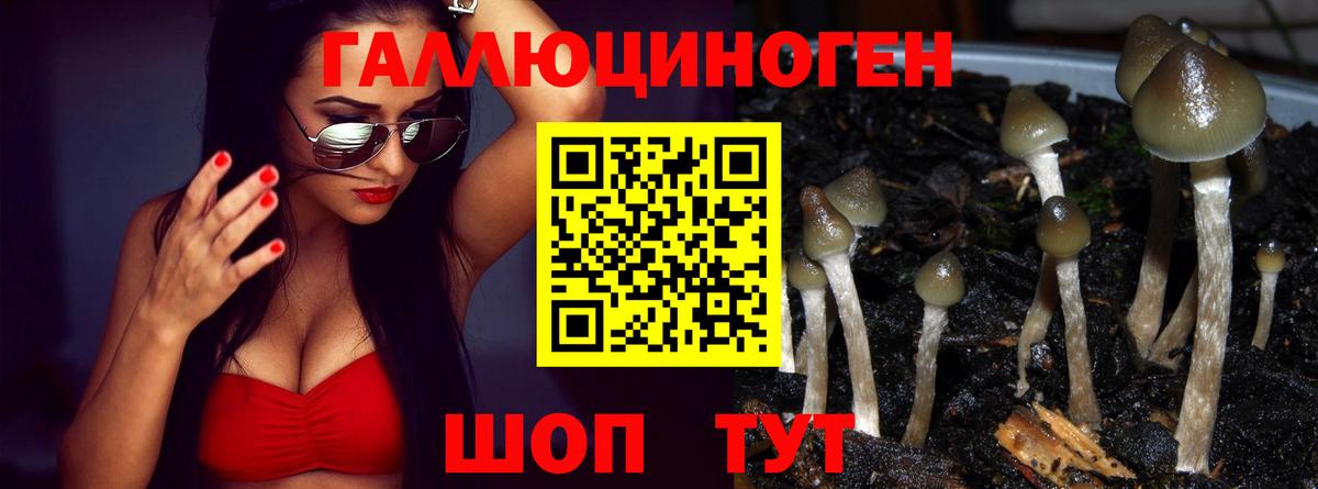 Коммунар  Галлюциногенные грибы прущие грибы  Вход с VPN  Галлюциногенные грибы GOLDEN TEACHER 